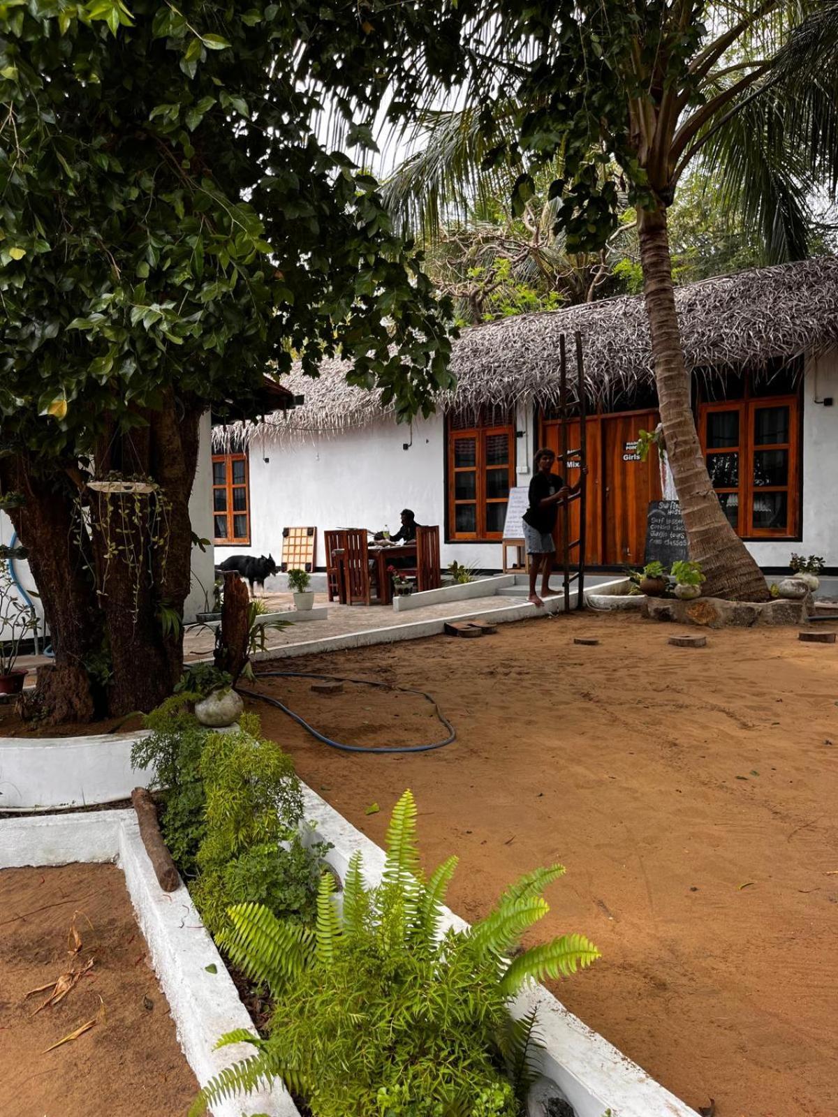 Surfing Lion Hostel Arugam Bay Exterior foto