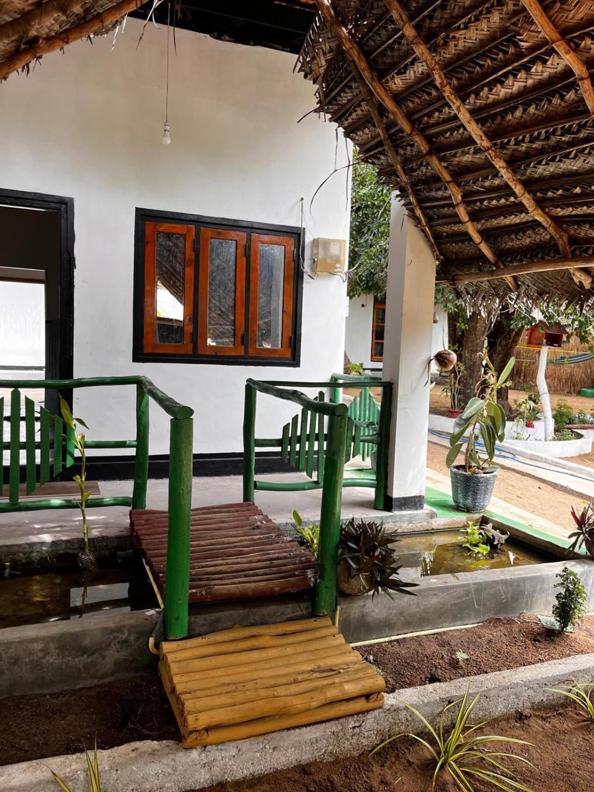 Surfing Lion Hostel Arugam Bay Exterior foto