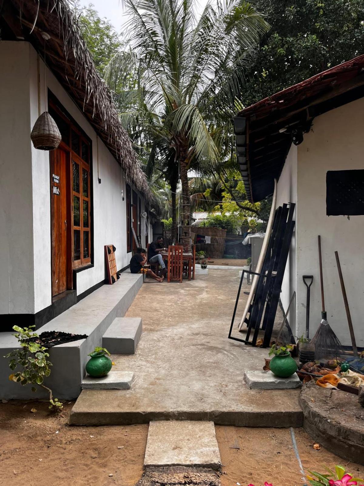 Surfing Lion Hostel Arugam Bay Exterior foto