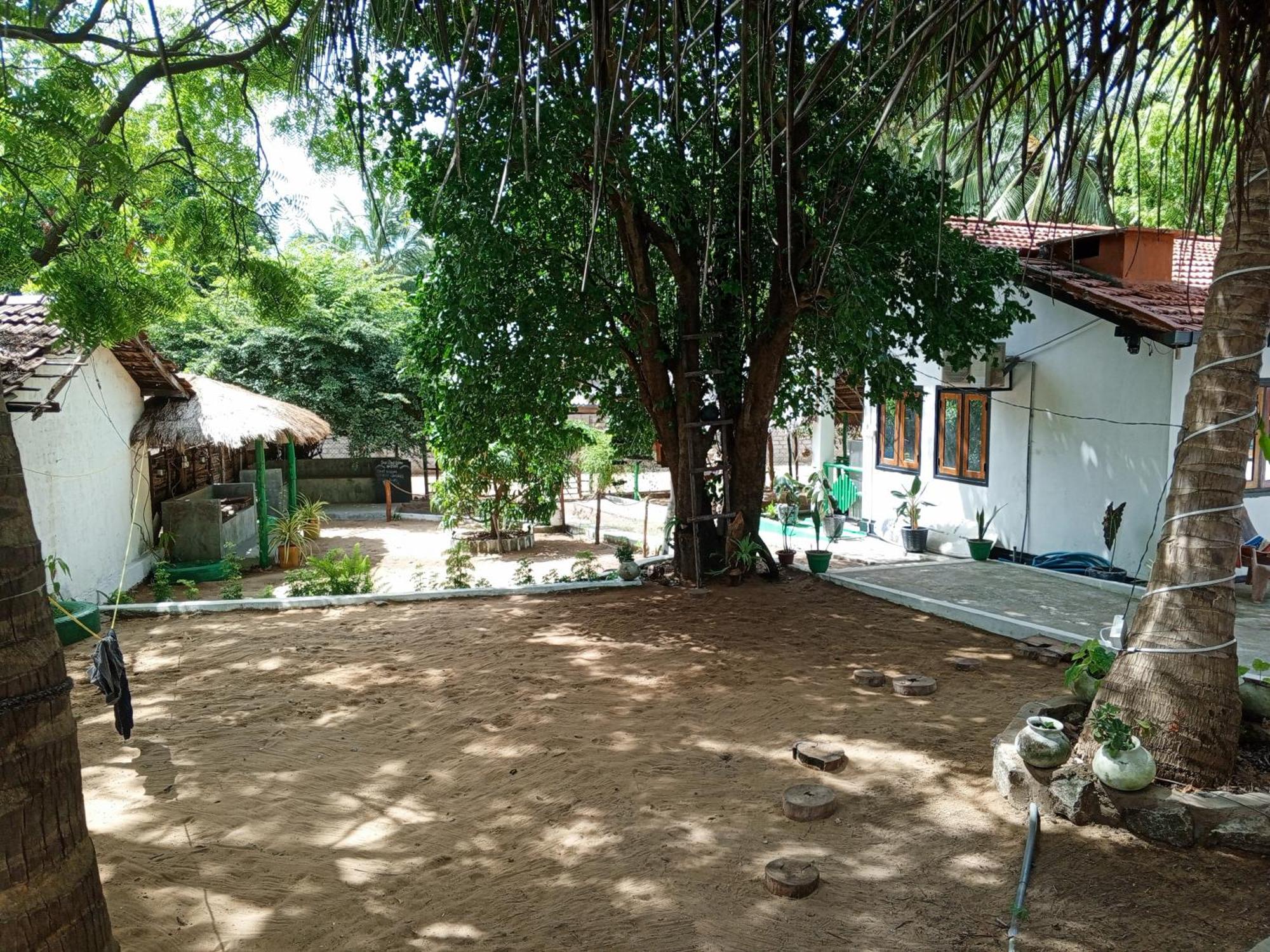 Surfing Lion Hostel Arugam Bay Exterior foto